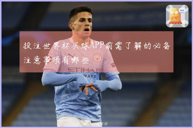 投注世界杯买球APP前需了解的必备注意事项有哪些