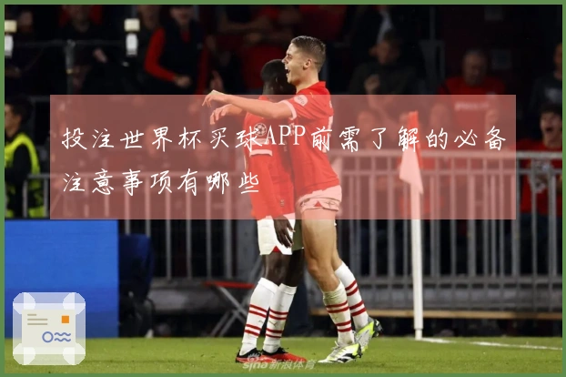 投注世界杯买球APP前需了解的必备注意事项有哪些